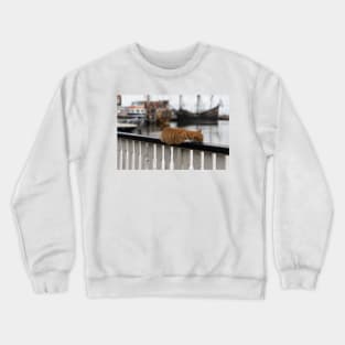 Cat on a Rail Crewneck Sweatshirt